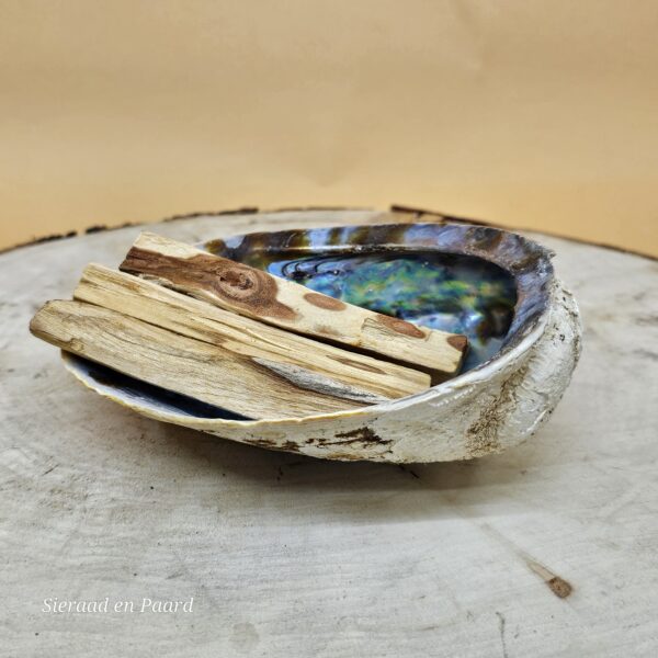 Groene Abalone Smudge Schelp met Palo Santo - Afbeelding 5