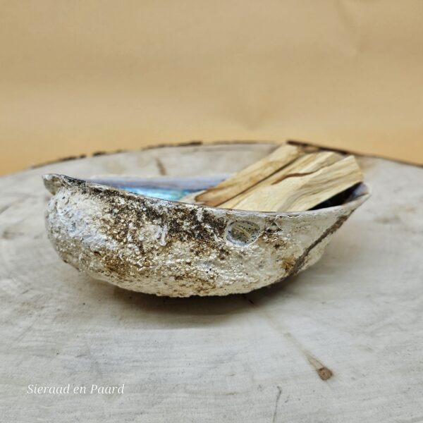 Groene Abalone Smudge Schelp met Palo Santo - Afbeelding 4