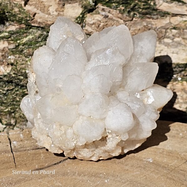 Bergkristal Roos Cluster - Afbeelding 3