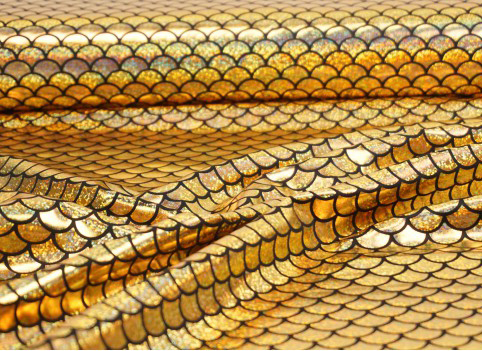 Manen beschermers Goud Schub