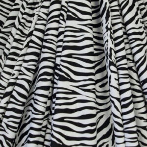 Manen beschermers Zebra